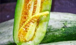 网红吃瓜专区,揭秘娱乐圈幕后故事