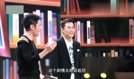 娱乐采访大爆料是什么,独家采访大爆料背后的惊人真相