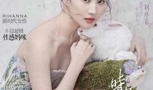 刘亦菲爆料宋宗宪视频播放,刘亦菲揭露宋宗宪视频播放背后的真相