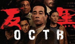 电视剧反黑在线观看,卧底风云，正义之战