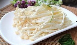 金针菇今日爆料最新,揭秘娱乐圈惊人内幕！