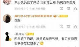 蔡徐坤的爆料与辟谣视频,真相背后的网络风波