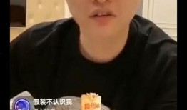 辛巴猫妹妹爆料视频大全,揭秘幕后真相