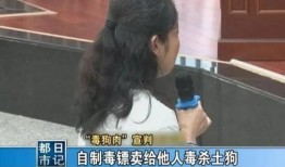 湘潭女子爆料案件最新,真相背后，法律与道德的较量