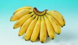 吃瓜不如香蕉皮免费,揭秘免费美食新潮流