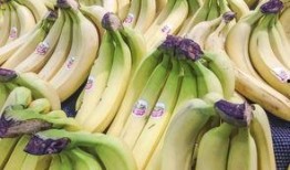 吃瓜不如香蕉皮免费,揭秘免费美食新潮流