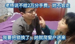老杨爆料分手是哪一集视频,揭秘分手真相，哪一集视频揭露分手内幕？
