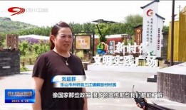 井研新闻爆料,揭秘当地热点事件背后的真相