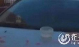 青岛爆料的视频