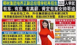 网友爆料视频文案素材,揭秘真实事件背后的惊人真相！